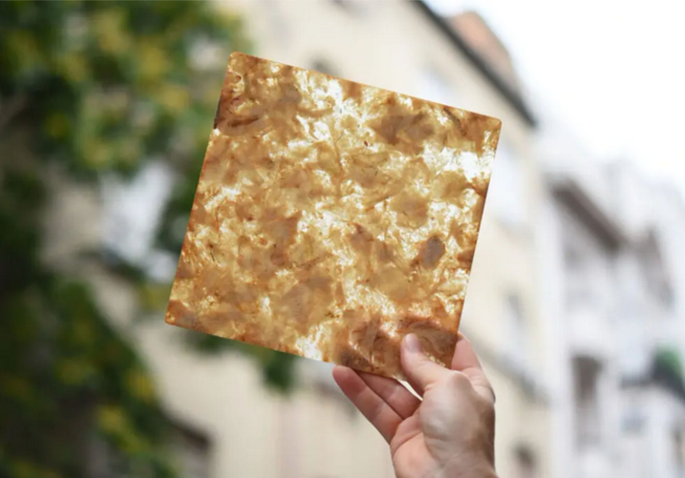 Növényi_alapú_panelek_cast-taylor-design