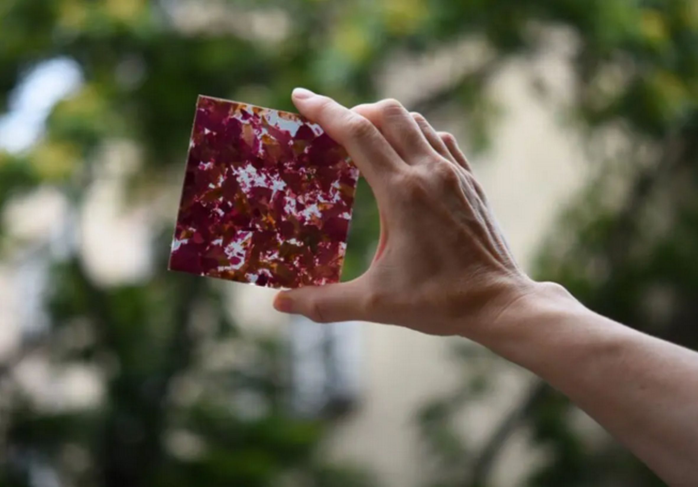 Növényi_alapú_panelek_glass-taylor-design