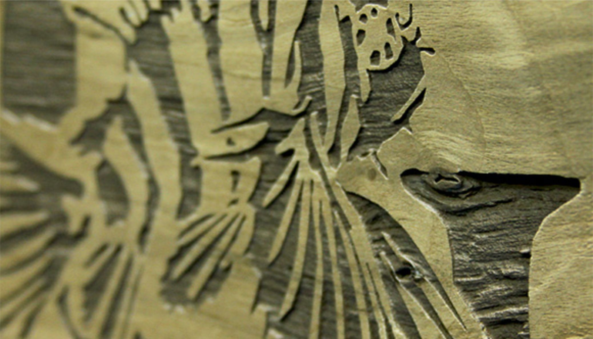 grafikázott-felületek-taylor-design-Faanyagok grafikázott-felületek-taylor-design-Faanyagok